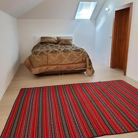 Zvizdic